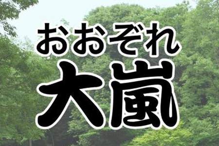 JR東海飯田線の「大嵐（おおぞれ）」