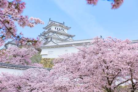 兵庫県の「姫路城」