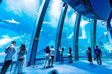 「横浜・八景島シーパラダイス」