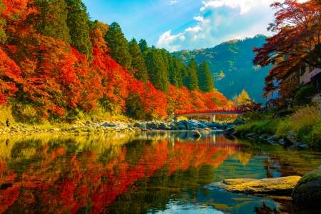 「愛知県」