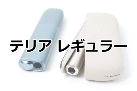 「テリア レギュラー」