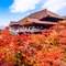 親と旅行したい都道府県ランキング