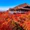 一人旅を楽しみたい都道府県ランキング