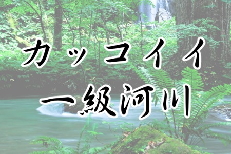 2位は天竜川 字面がカッコイイ日本の 一級河川 ランキング 九頭竜川 天竜川 四万十川 他 Gooランキング