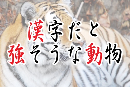 漢字で書くと強そうな動物ランキング 3位食蟻獣（アリクイ）