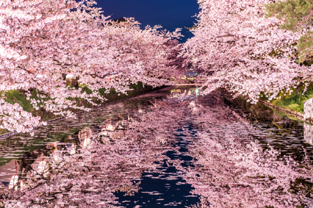 日本の絶景！桜が美しいスポットランキング