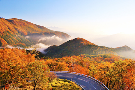 紅葉シーズンに行きたい都道府県ランキング！3位 北海道、2位 栃木、1位は…【2024年最新調査】