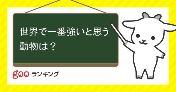 投票 世界で一番強いと思う動物は Gooランキング